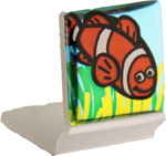 Taggoggles Nemo